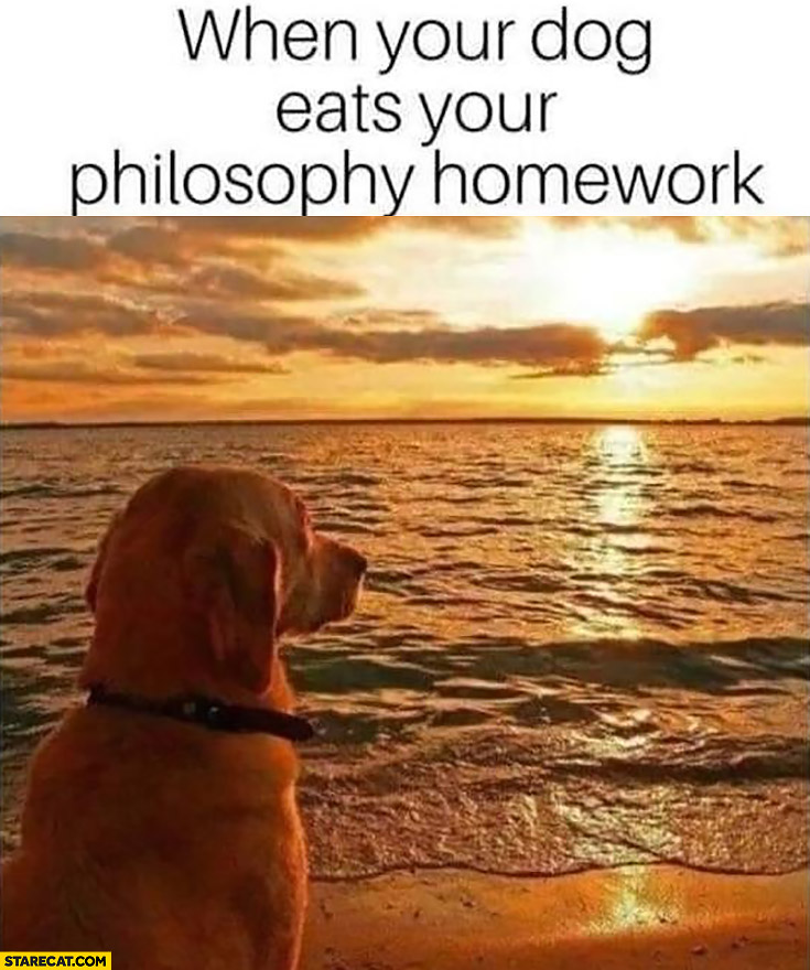 when-your-dog-eats-your-philosophy-homework-stares-at-sunset.jpg