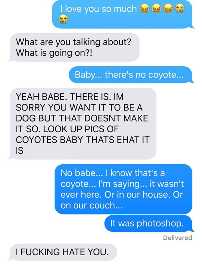 Husband-Freaks-Out-After-His-Wife-Texts-Him-She-Brought-A-Dog-Home-While-The-Pic-Shows-Its-Coyote-5842a6073a7f9__700.jpg