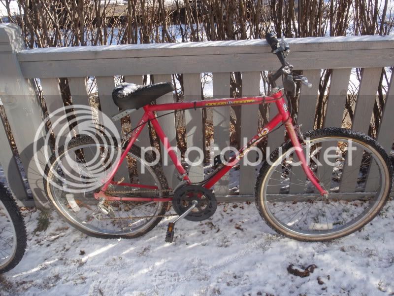 freebikes037.jpg