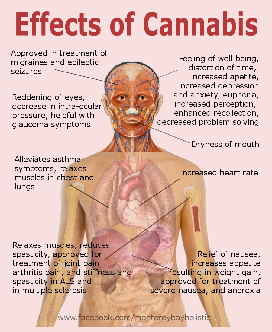 effects-of-cannabis.jpg