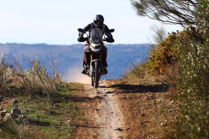 2024 Triumph Tiger 900 Rally Pro trail