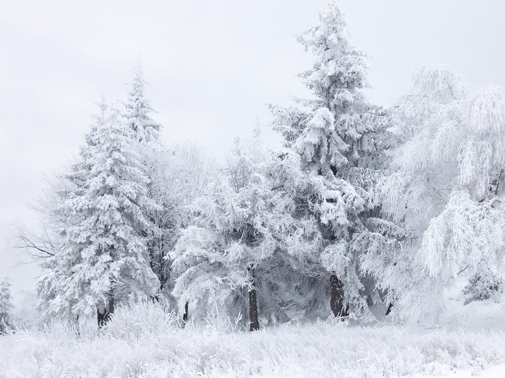 Snow_Scene_at_Shipka_Pass_1.jpg