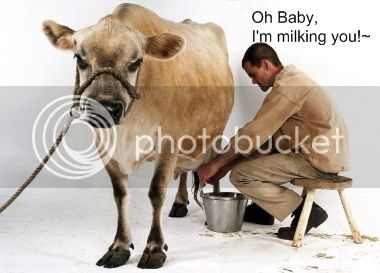 milking.jpeg