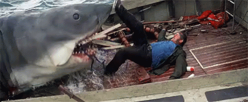jaws-shark-attack.gif