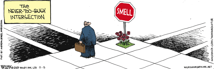 Non Sequitur Comic Strip for May 03, 2023 