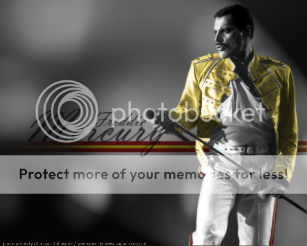 Freddie-Mercury-freddie-mercury-10920907-1280-1024.jpg