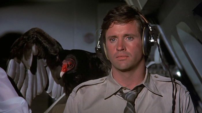 airplane-vulture.png