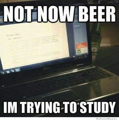 not-now-beer-im-trying-to-study.jpg