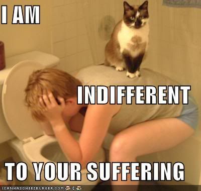 funny-pictures-cat-on-vomiting-pers.jpg