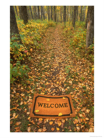 542680welcome-mat-on-forest-trail-posters1.jpg
