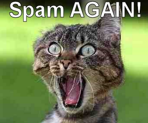 spamcat-png.245809