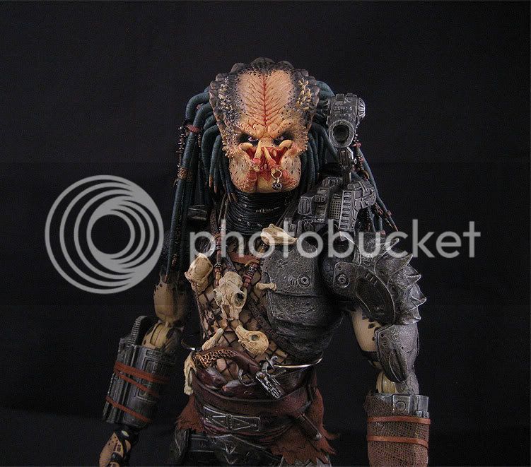 predator-043.jpg