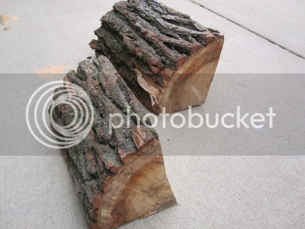 Wood2004.jpg