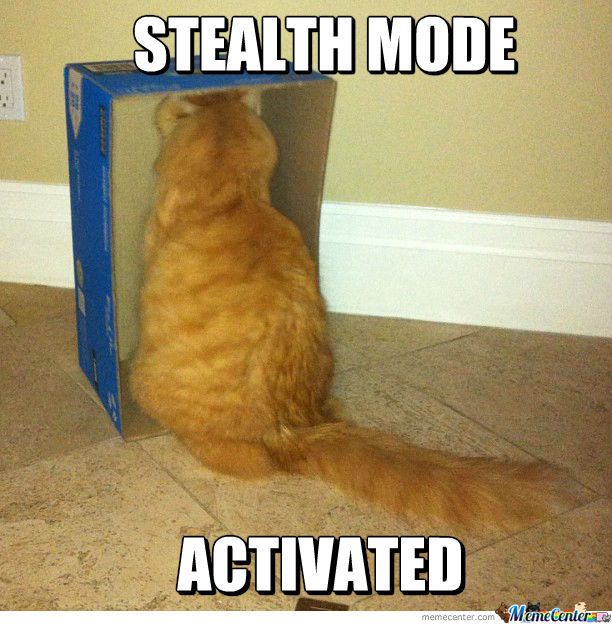 stealth-mode-activated_o_1168408_zpsca07932e.jpg