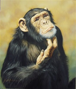 monkey_thinking.jpg