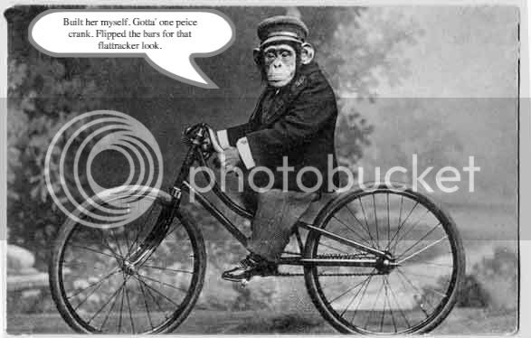 monkey_on_bicycle_vintage_121675-3.jpg