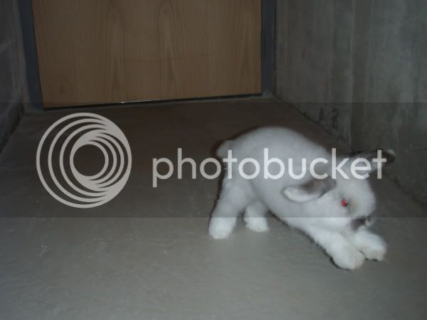 firstbinkypicture1.jpg