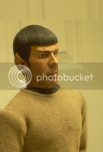 customSpock006.jpg