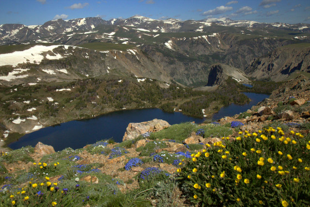 bear-lakes-flowers.jpg