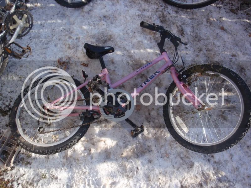 freebikes038.jpg