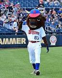 Buffalo Bisons - Wikipedia