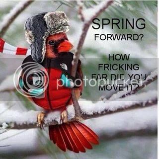 RedBirdSpring_zps7ddab1d2.jpg