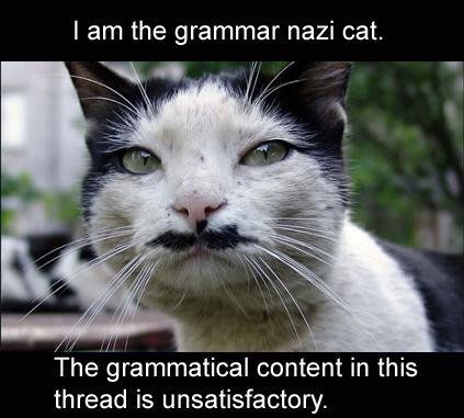 grammar+nazi+cat.jpg