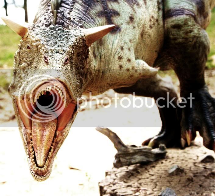 carno1.jpg