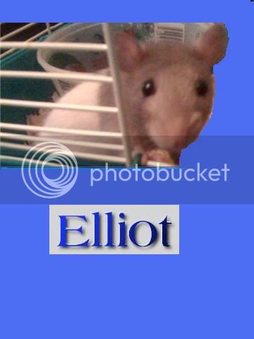 elliot3.jpg