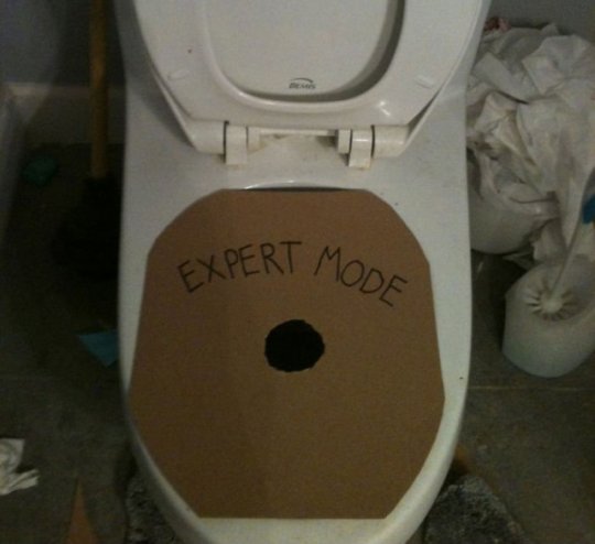 expert-mode-toilet_w540_h494.jpg