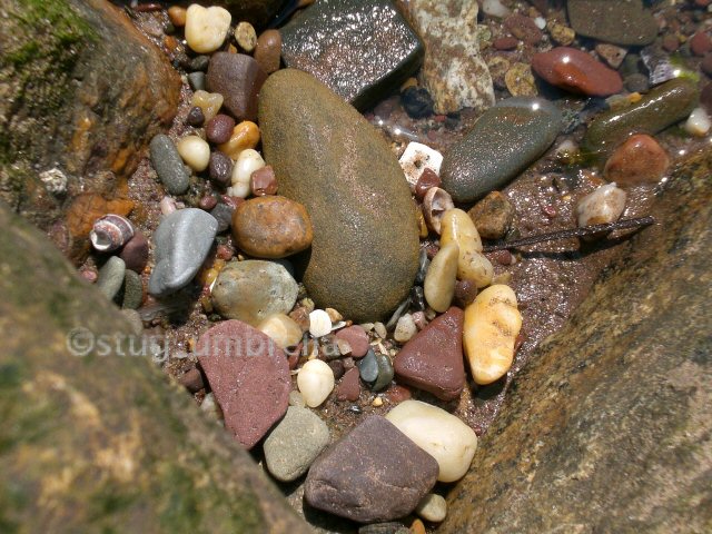 beach_stones_by_limegemini.jpg
