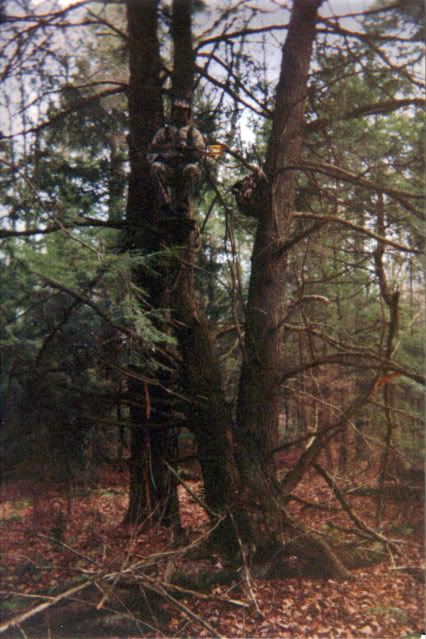 BalsamSwampTreestand2-2-20119-52-04AM.jpg