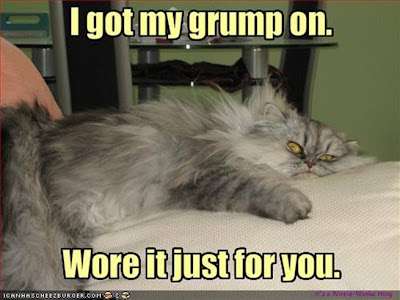 grumpy+cat.bmp