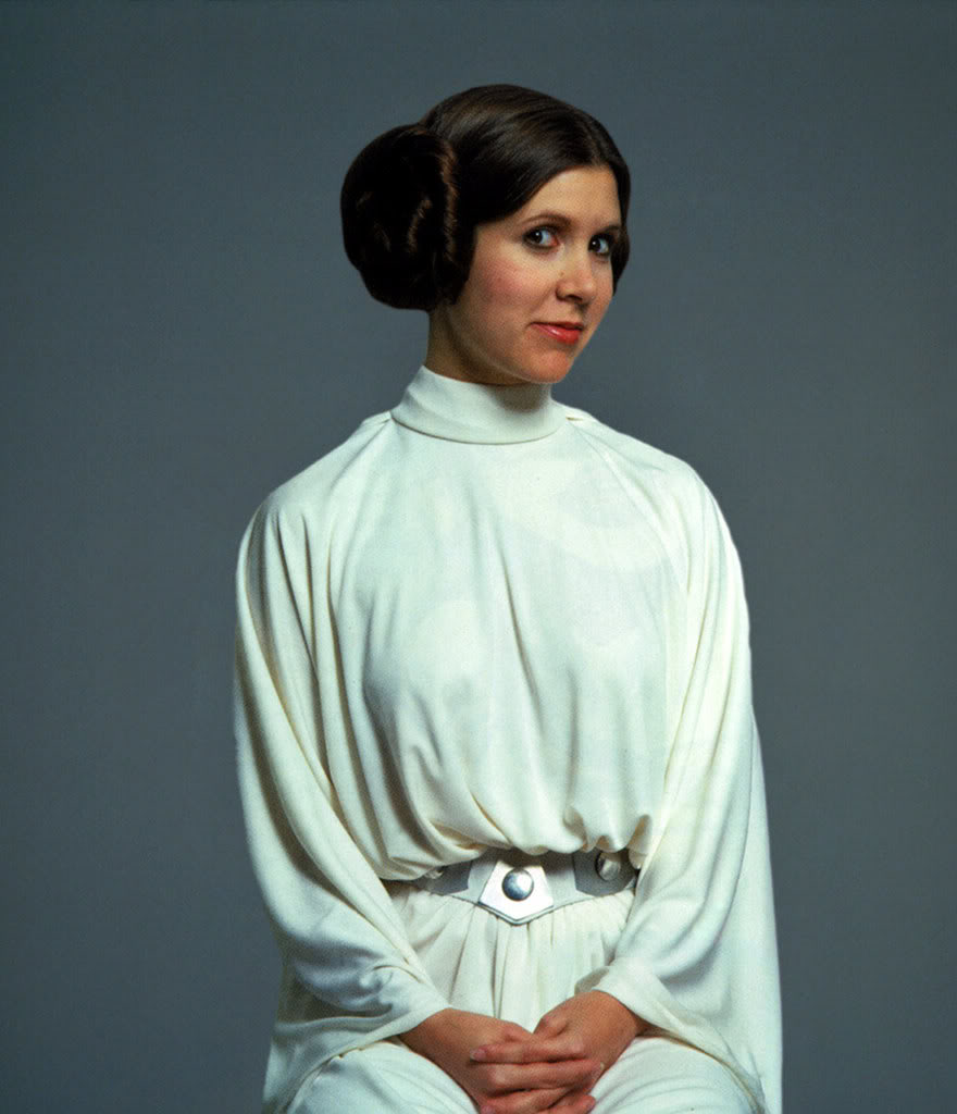 Leia-princess-leia-organa-solo-skywalker-33523065-880-1024.jpg