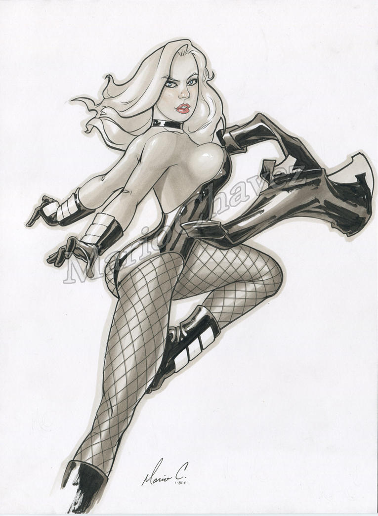 black_canary_1_by_mariochavez-d37zhf7.jpg