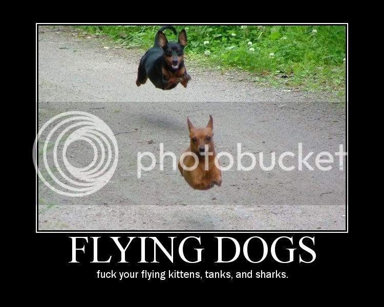 flydog.jpg