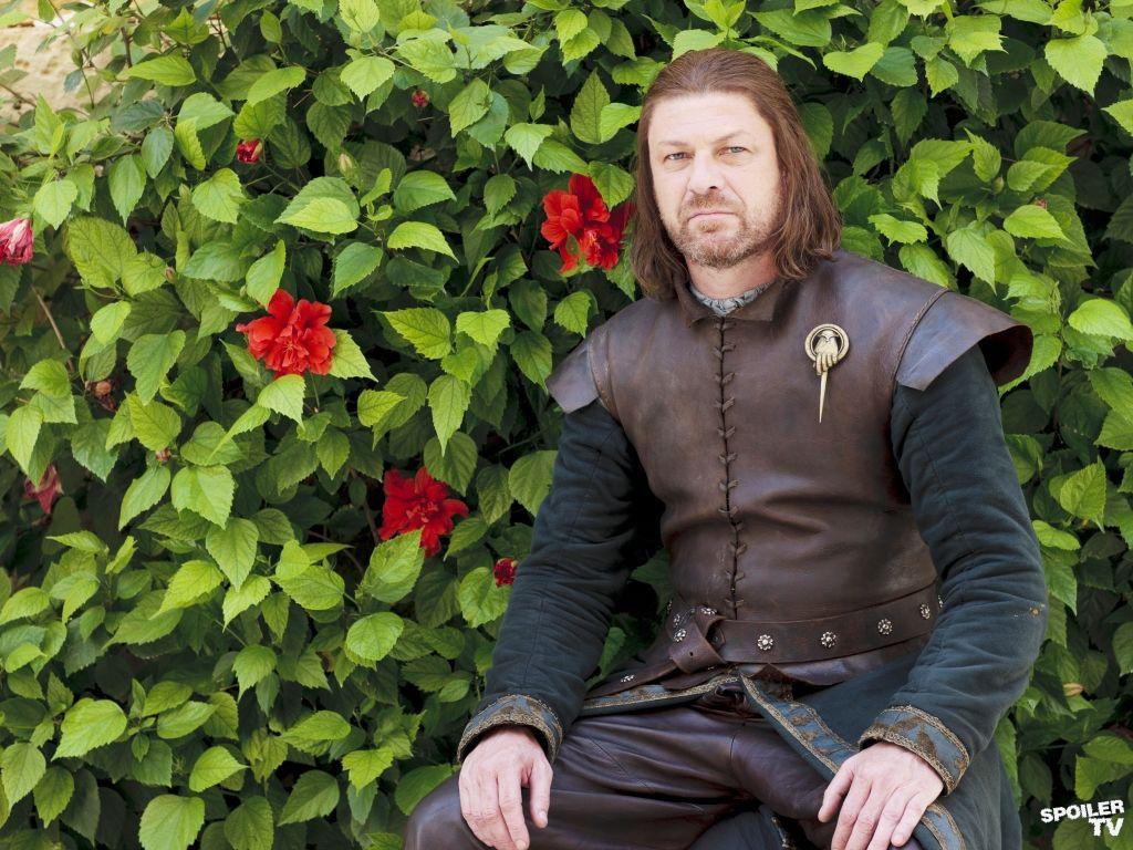 Eddard-Stark-lord-eddard-ned-stark-29628352-1024-768.jpg