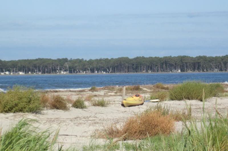 EOM_HiltonHead2011261.jpg