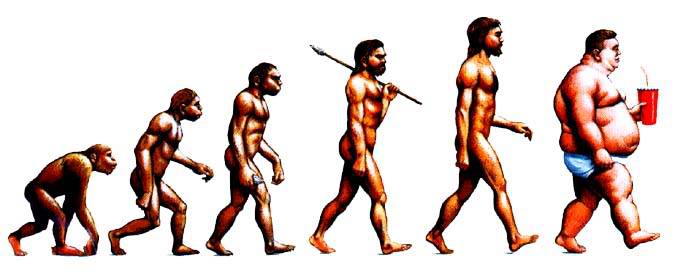 Paleo-Evolution.jpg