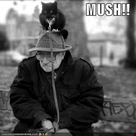 funny-pictures-mush-cat.jpg