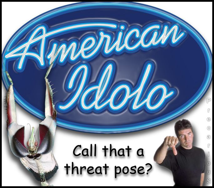 AmericanIdolo.jpg