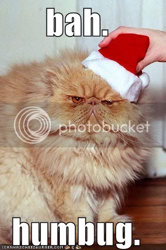 funny-pictures-bah-humbug-cat.jpg