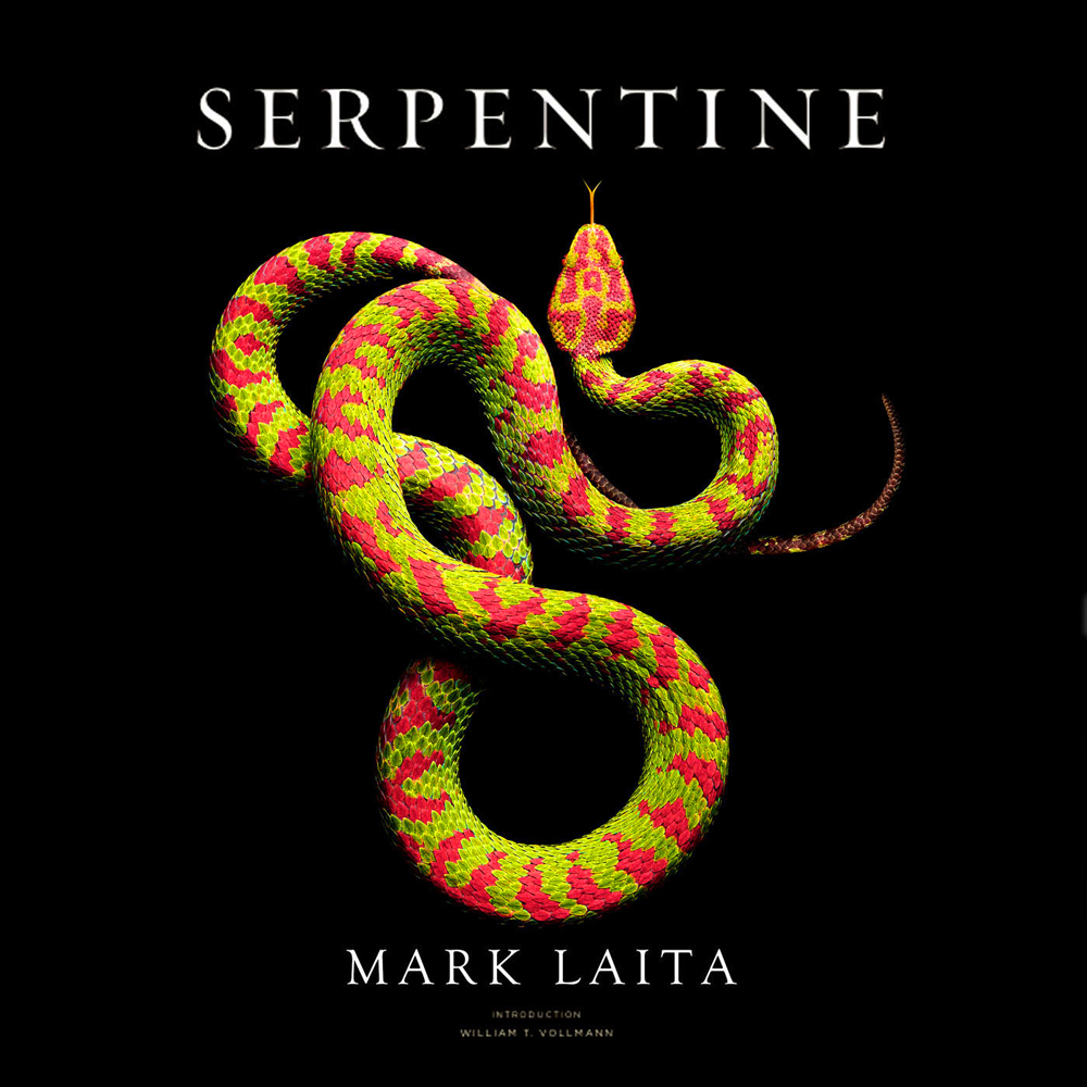 Serpentine-book-cover-copy.jpg