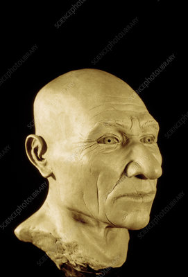 E9000361-Clay_reconstruction_of_the_Kennewick_Man-SPL.jpg