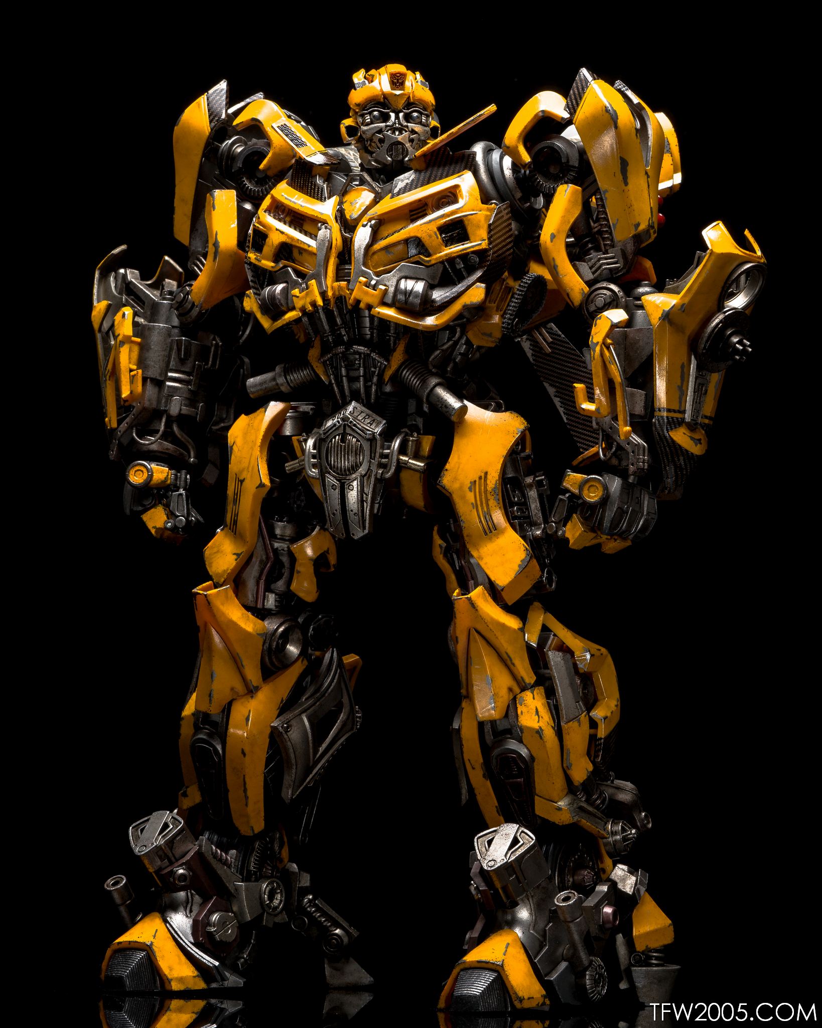 3A-Bumblebee-075.jpg