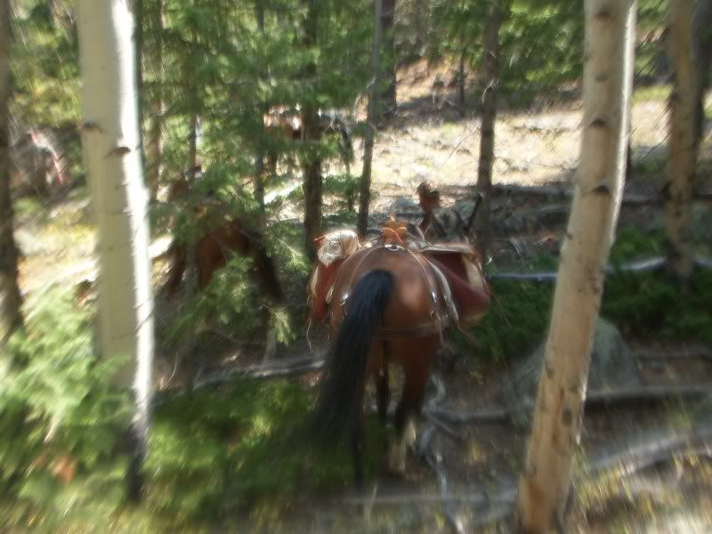 elk_hunt_077.jpg