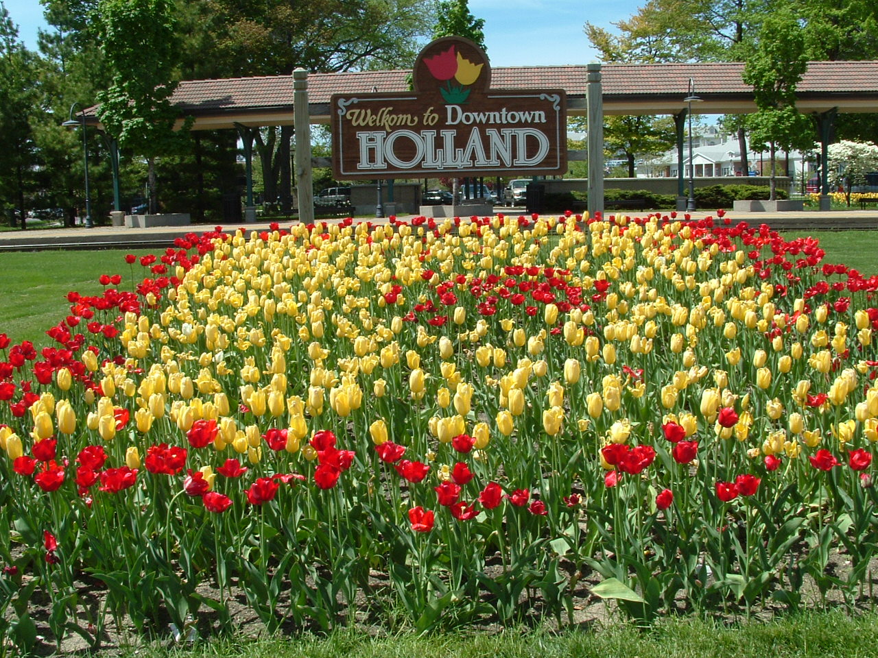 Holland_MI_Tulips_01.jpg