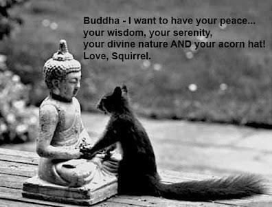 buddha-squirrel-love-peace-wisdom-serenity-divine-nature-acorn-hat1.jpg