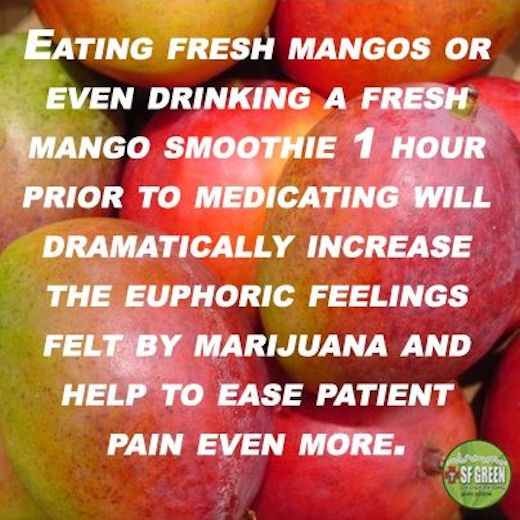 167288-Eat-Fresh-Mangos-Before-Smoking-Marijuana.jpg