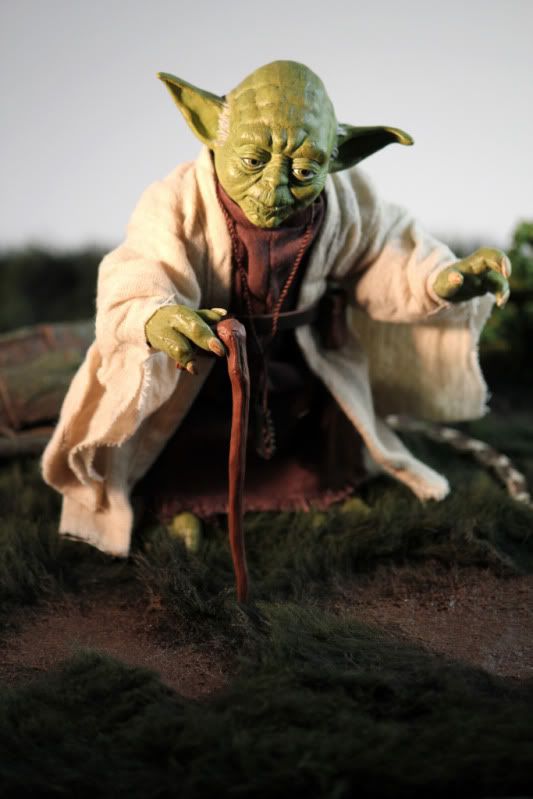 Yoda0021.jpg